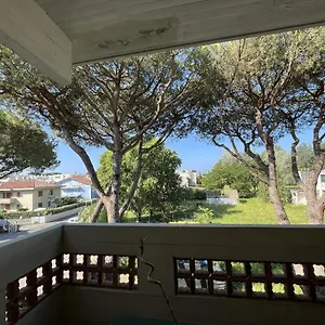 Appartamento Casa Palma - 300mt Dal Mare 